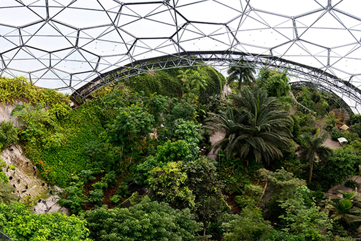 Eden Project Rainforest